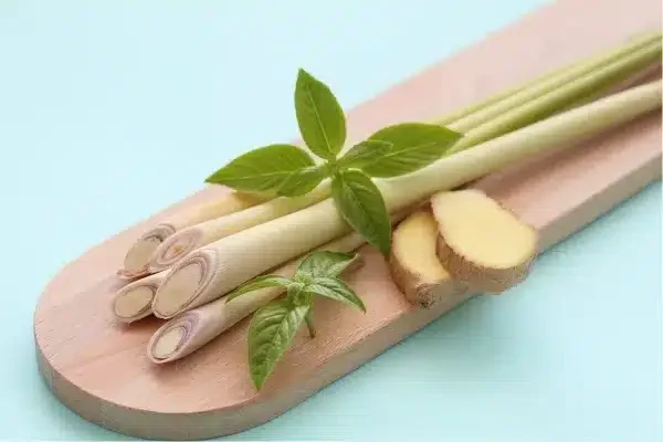 Lemongrass, ginger and basil on a wooden chopping board