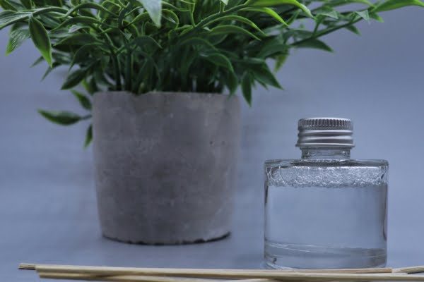 Plant with a reed diffuser on a grey background