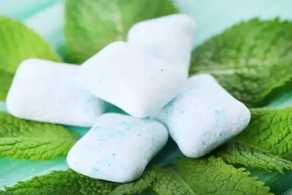 Spearmint chewing gum with spearmint leaves